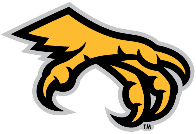 Kennesaw State Owls 2012-Pres Alternate Logo v2 diy fabric transfer